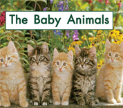 The Baby Animals (Kindergarten Getting Started Lap Books)