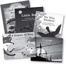 Link to Grade 2 (Take-Home Book Package)