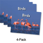 Birds (Orange System)
