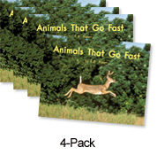 Animals That Go Fast (Orange System)