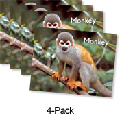 Monkey (Green System)