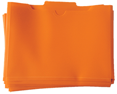 Link to LLI Orange Lesson Folders (10 pack)