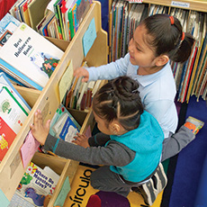 Link to Teachers College Reading and Writing Project Classroom Library, Grade 1, BelowBenchmark