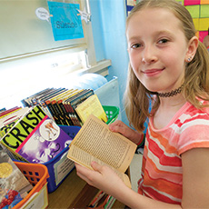 Link to Teachers College Reading and Writing Project Classroom Library, Grade 5, BelowBenchmark