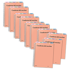 Learn more aboutSpanish Writer's Notebook: Advanced Grade 5-6  (25-pack)