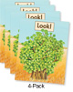 Look! (Green System)