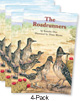 The Roadrunners (Blue System)
