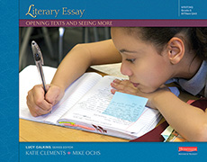 Learn more aboutLiterary Essay: Opening Texts and Seeing More, Bundle without Trade Pack, Grade 5